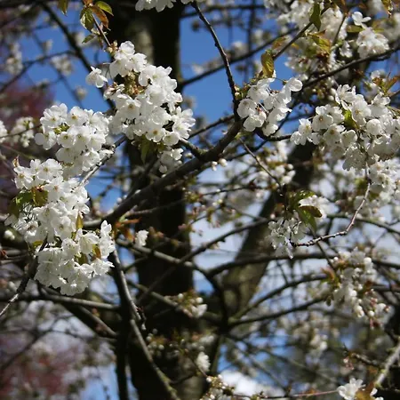 Atelier La Luna Berkenwoude