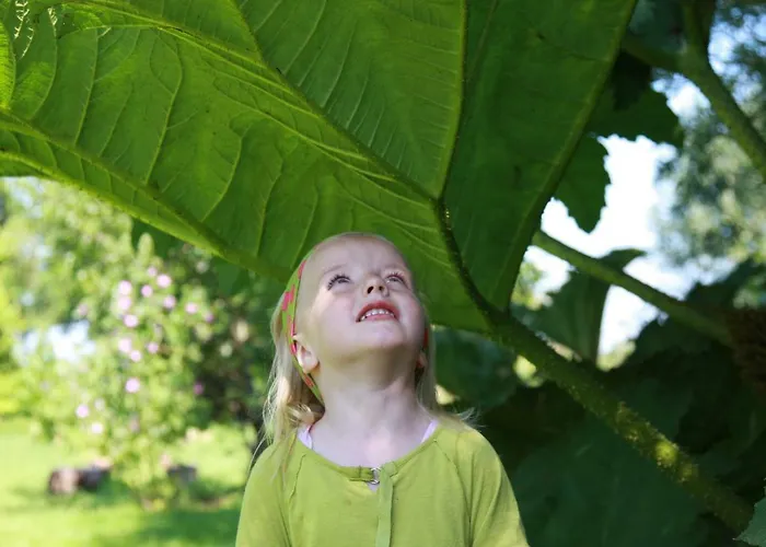Bed and breakfast Atelier La Luna