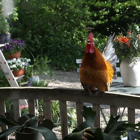 Atelier La Luna Berkenwoude