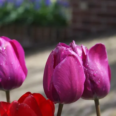 Atelier La Luna ベッド・アンド・ブレックファスト