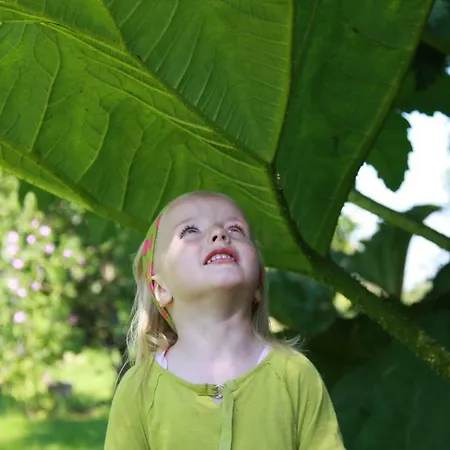 ベッド・アンド・ブレックファスト Atelier La Luna