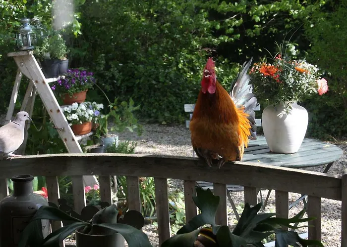 Atelier La Luna Berkenwoude